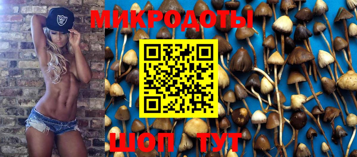 Норильск  Галлюциногенные грибы Psilocybine cubensis  Вход с VPN 