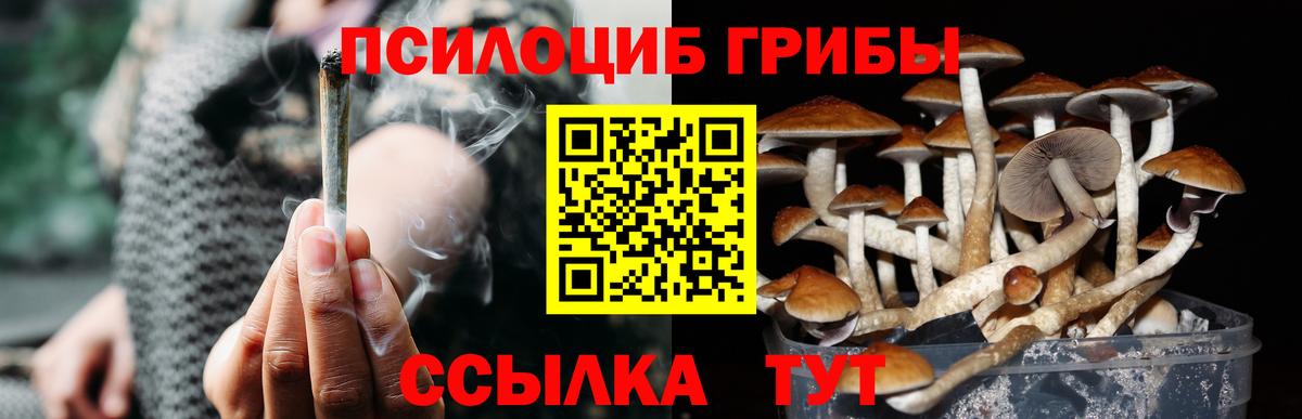 Псилоцибиновые грибы MAGIC MUSHROOMS Норильск