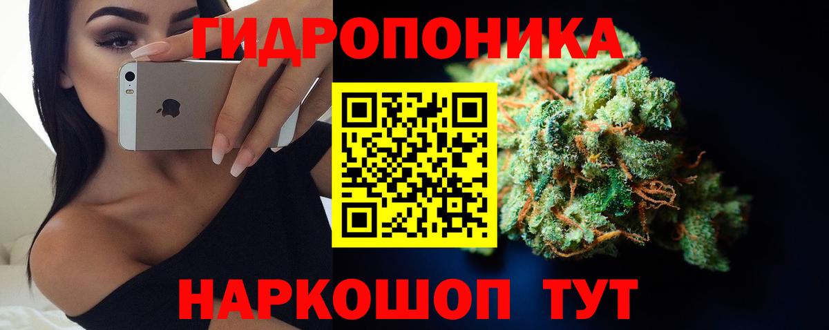Конопля семена  Бошки Шишки план  Вход с VPN  Норильск  Канабис OG Kush 
